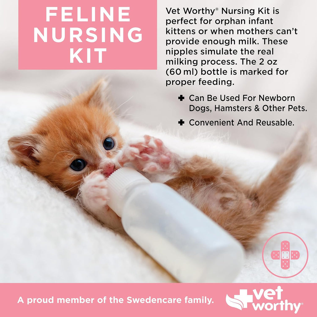 Close-up of the Vet Worthy feline nursing kit components including 5 soft interchangeable silicone nipples and a cleaning brush.