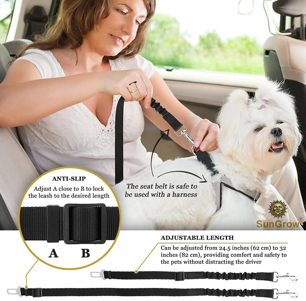 SunGrow dog seat belt with metal buckle detail