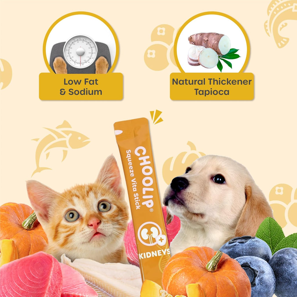Educational graphic showing Choolip ingredient benefits