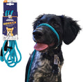 Heather's Heroes Sidekick dog headcollar turquoise mini front view