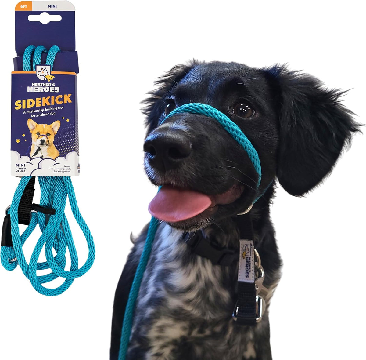 Heather's Heroes Sidekick dog headcollar turquoise mini front view