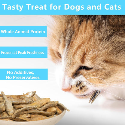 High protein single ingredient minnow treats for dogs and cats