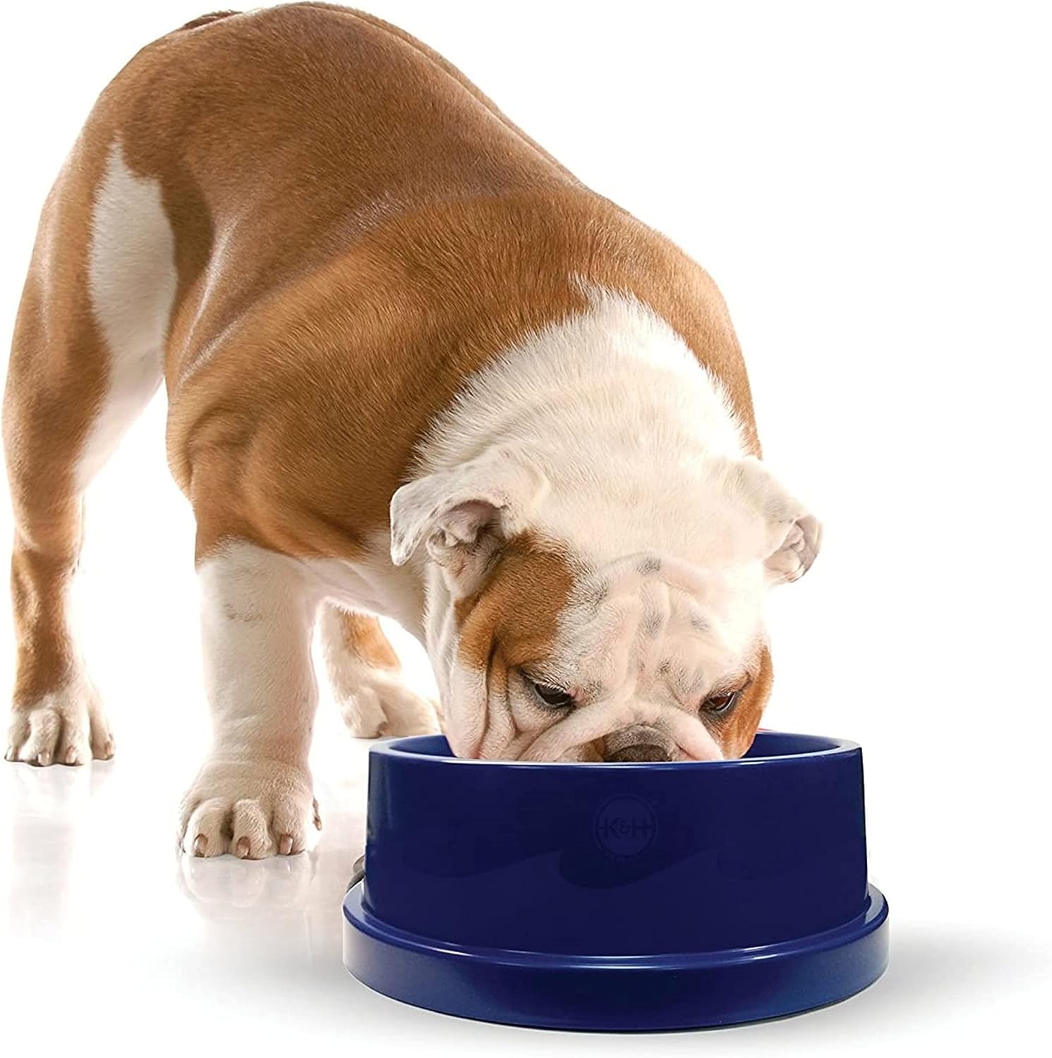 K&H Pet Products Coolin Dog Water Bowl front view authentic pet cooling dish