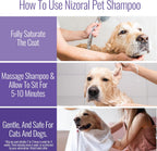 Close up of Nizoral antifungal and antimicrobial pet shampoo label