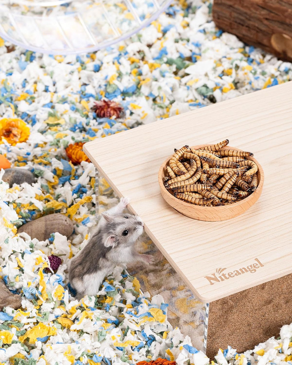 Close up of Niteangel natural freeze dried worms texture