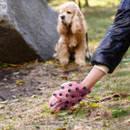 Dyforce six hundred count large pet litter bags for outdoor walks.
