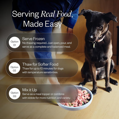 Maev 5 pound frozen beef dog food bag top view