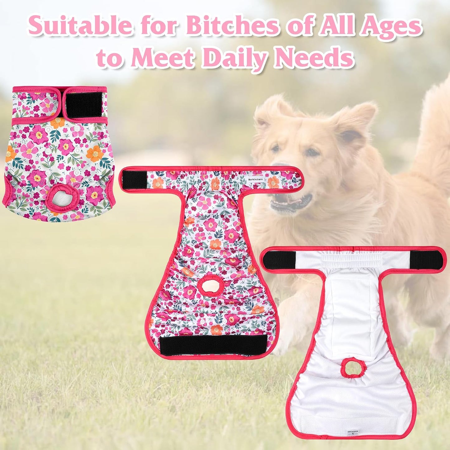 Barklincharm small size dog diaper flat layout demonstrating waist adjustment features