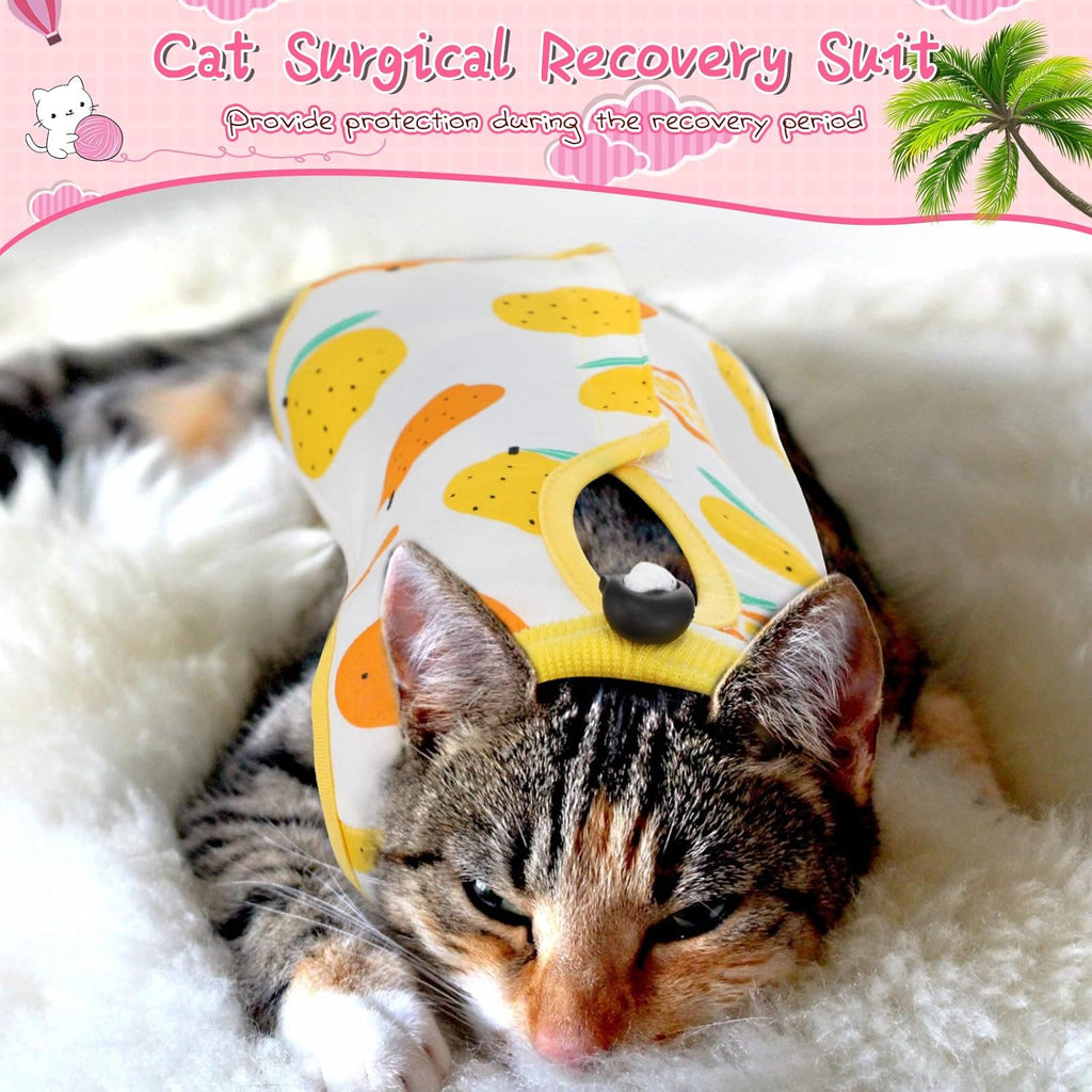 Nuanchu colorful fruit pattern abdominal wound protector suit on a medium sized cat.