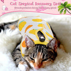 Nuanchu colorful fruit pattern abdominal wound protector suit on a medium sized cat.