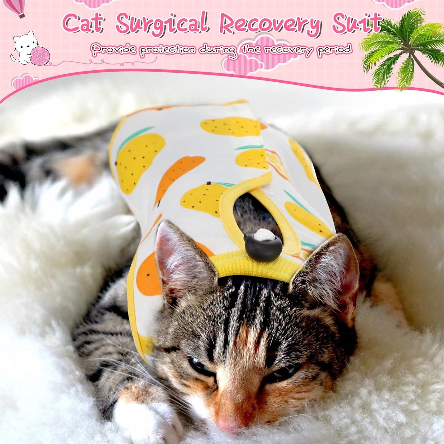 Nuanchu colorful fruit pattern abdominal wound protector suit on a medium sized cat.