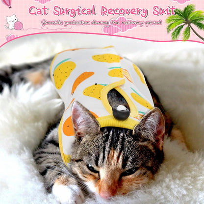 Nuanchu colorful fruit pattern abdominal wound protector suit on a medium sized cat.