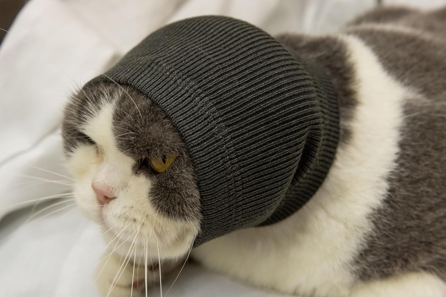 Grey cat ear wrap showing soft cationic fabric texture