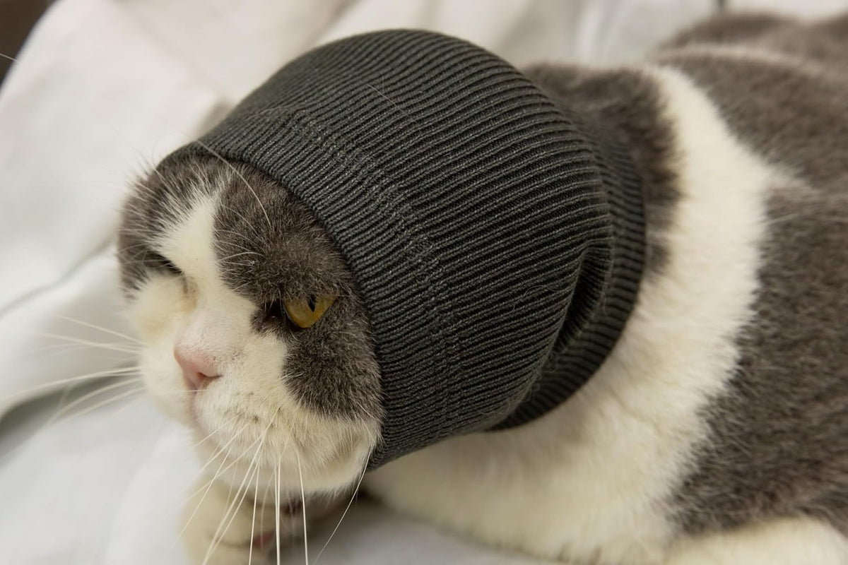 Grey cat ear wrap showing soft cationic fabric texture