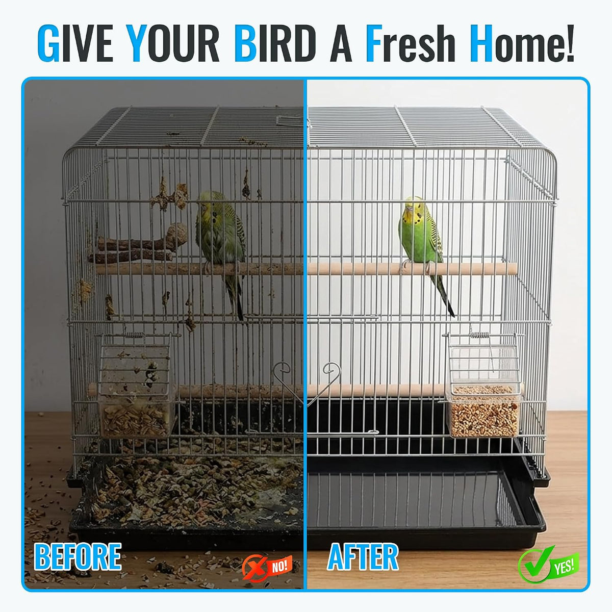 SIMPOR cage cleaning kit being used for daily maintenance of a parakeet habitat.