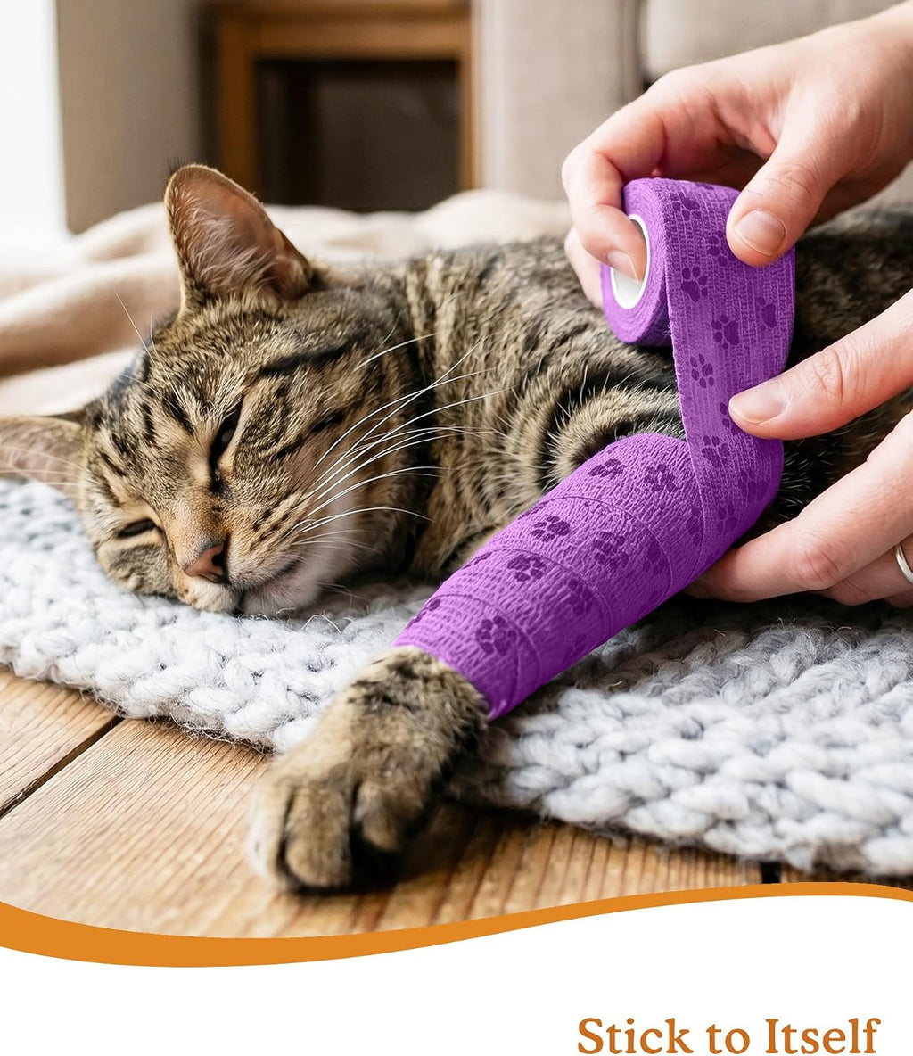 Fripup cohesive wrap for dog leg wound care
