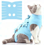 Size guide visualization for Lievuiken cat recovery suit