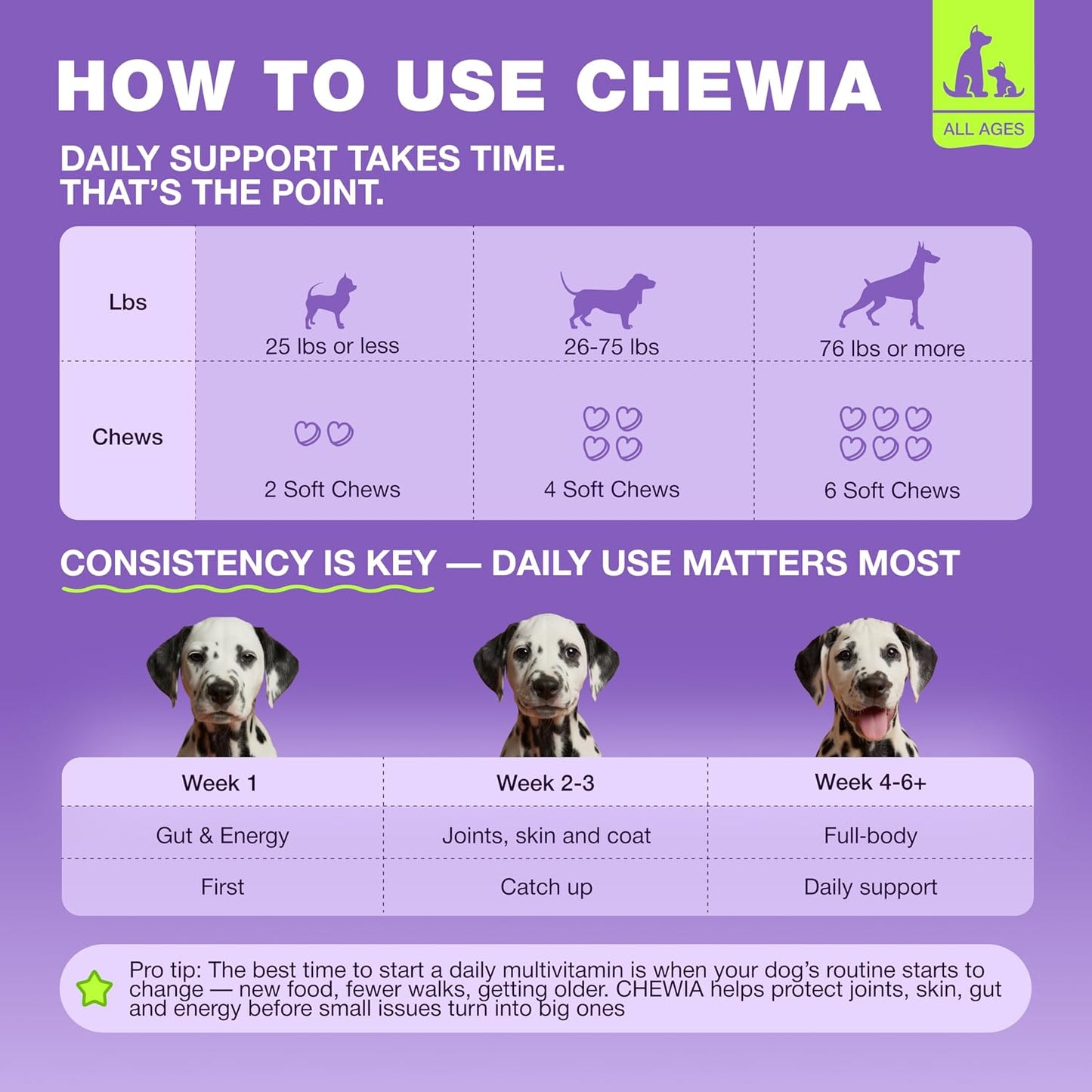 Healthy happy dog eating multivitamin treat
