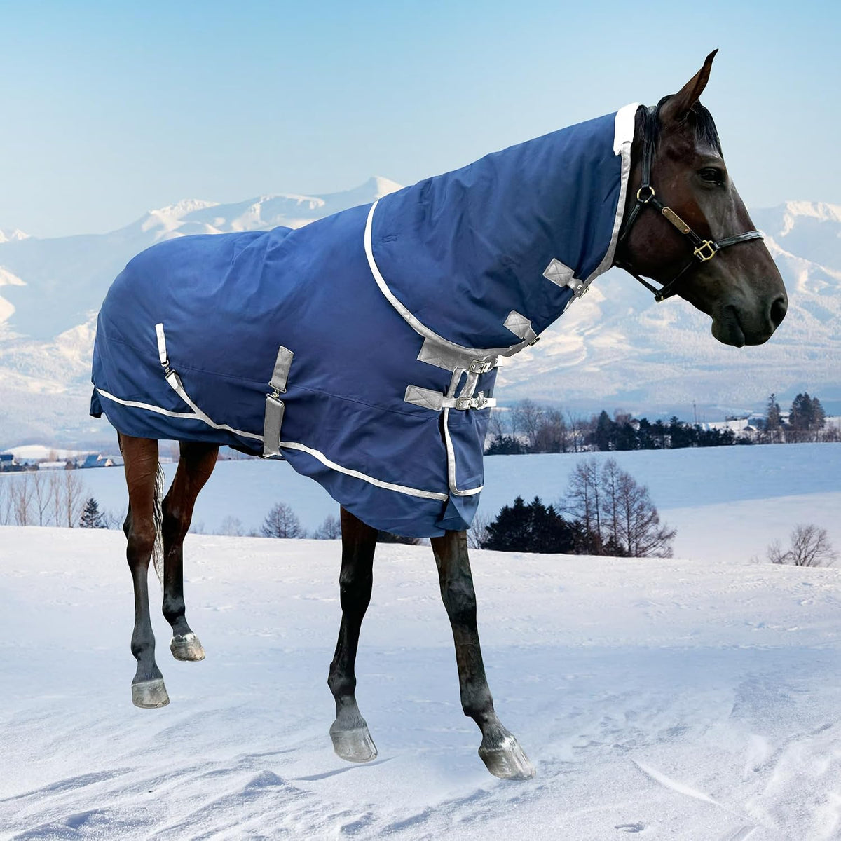 Secure fit horse winter blanket surcingle system