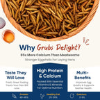 Close up texture of Grubs Delight dried black soldier fly larvae