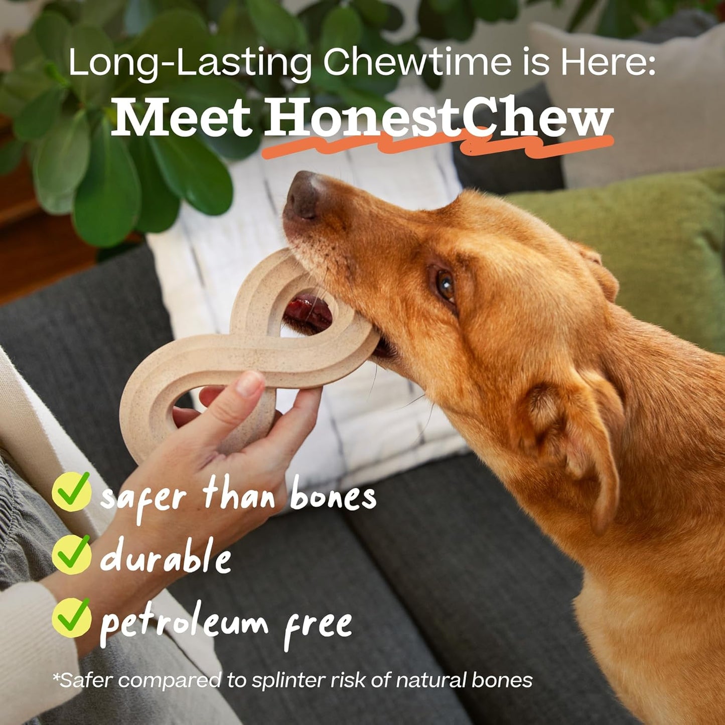 Woof HonestChew Infinity branding and packaging