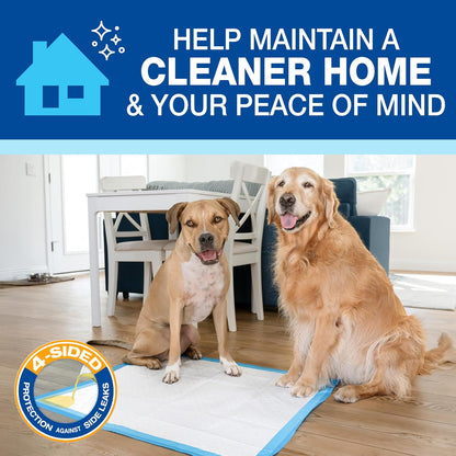 Four Paws heavy duty dog potty pads demonstrating twenty four hour floor protection