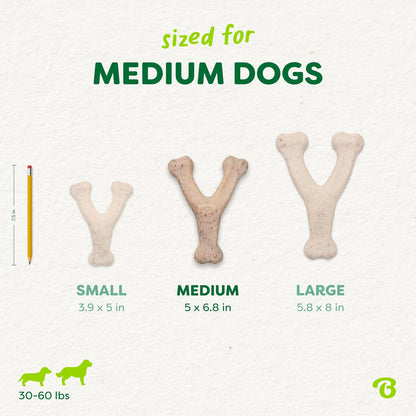 Dog Bones for Modest Chewers: Benebone Green Plant-Based Real Bacon Wishbone Dog Chew Toy for Medium Dogs, Made in USA - Image 5