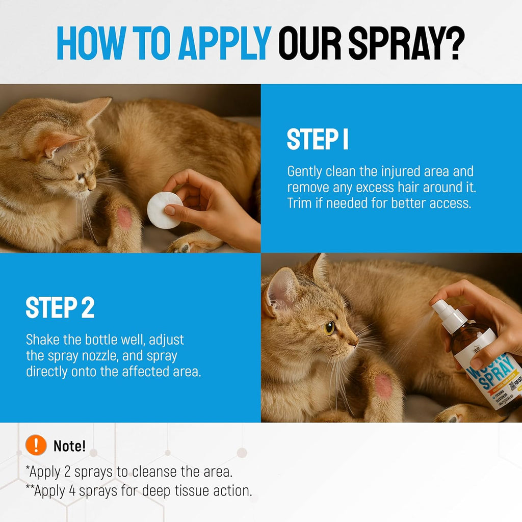 Silver Grade feline first aid wound wash application instructions