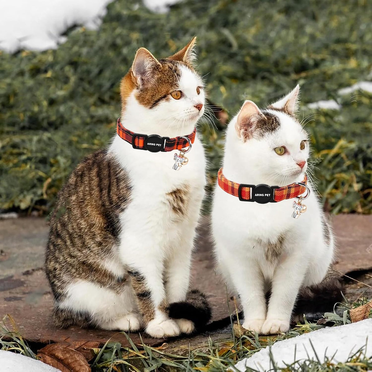 ARING PET 2 Pack Cat Collars-Cute Breakaway Cat Collar with Bell & Pendant, Adjustable Christmas Kitten Collars with Safety Buckle for Girl and Boy Cats - Image 11