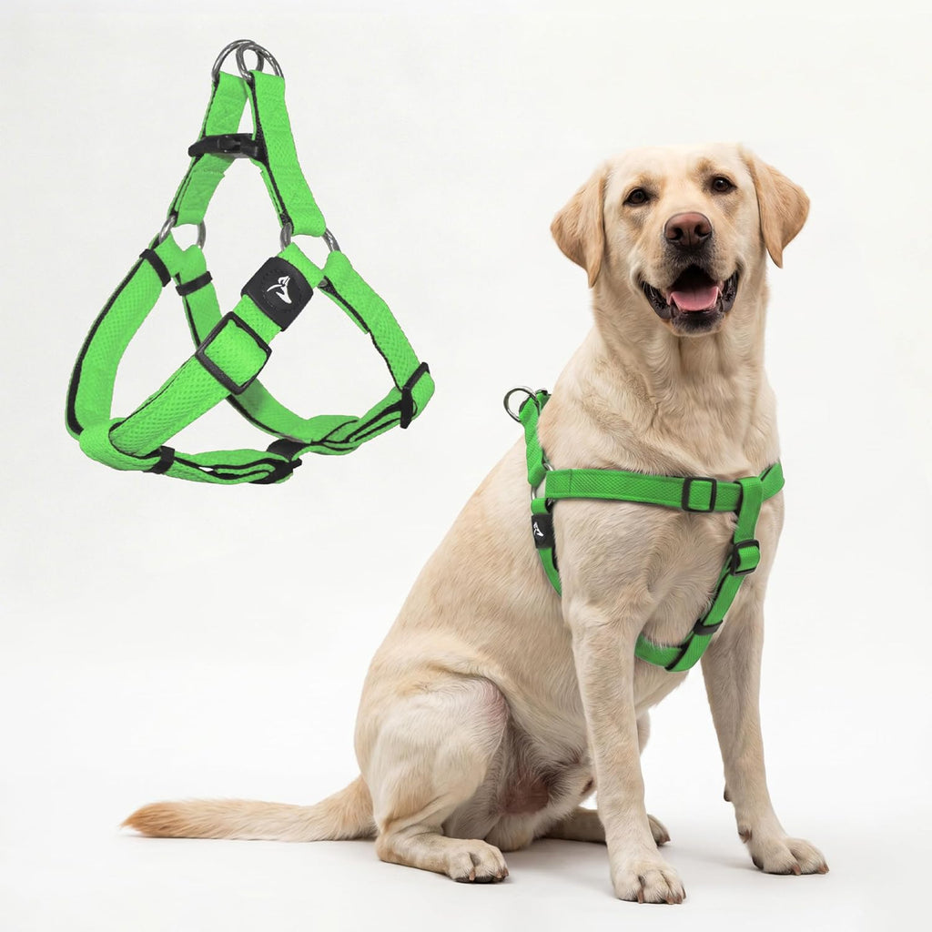 Kruz No Pull Dog Harness (Chest 26"-38", Weight 44-88 lbs) Heavy-Duty Pet Harness for Large Breeds, Ultra-Comfort Fit, Lifetime Durability, Adjustable Dog Harness No Pull Design (Amethyst, Large) - Image 10