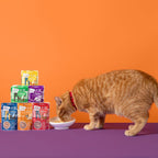 Weruva grain free cat food pouch with nutritional highlights visible