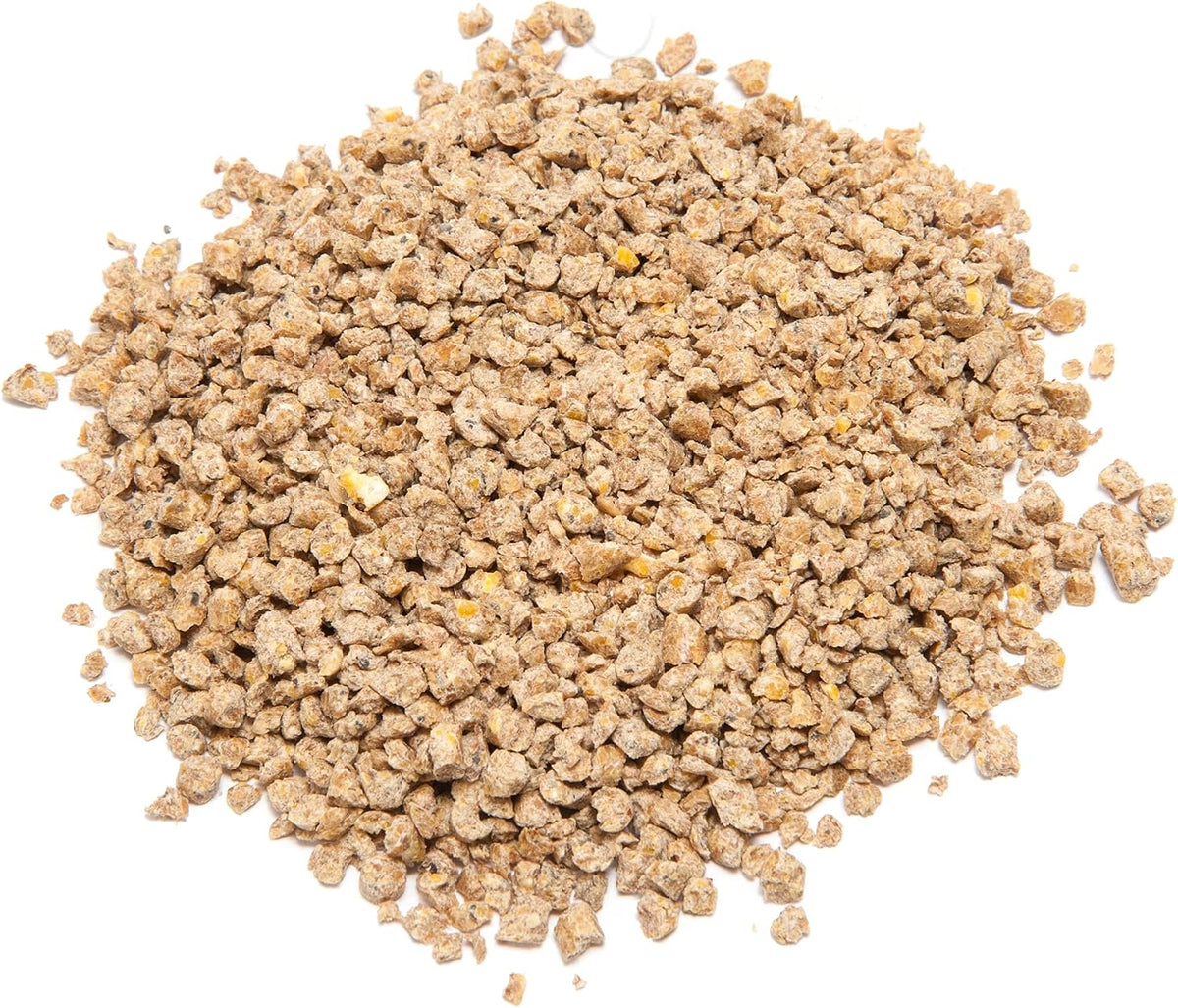 Young turkeys and gamebirds feeding on Manna Pro starter grower crumbles from a feeder