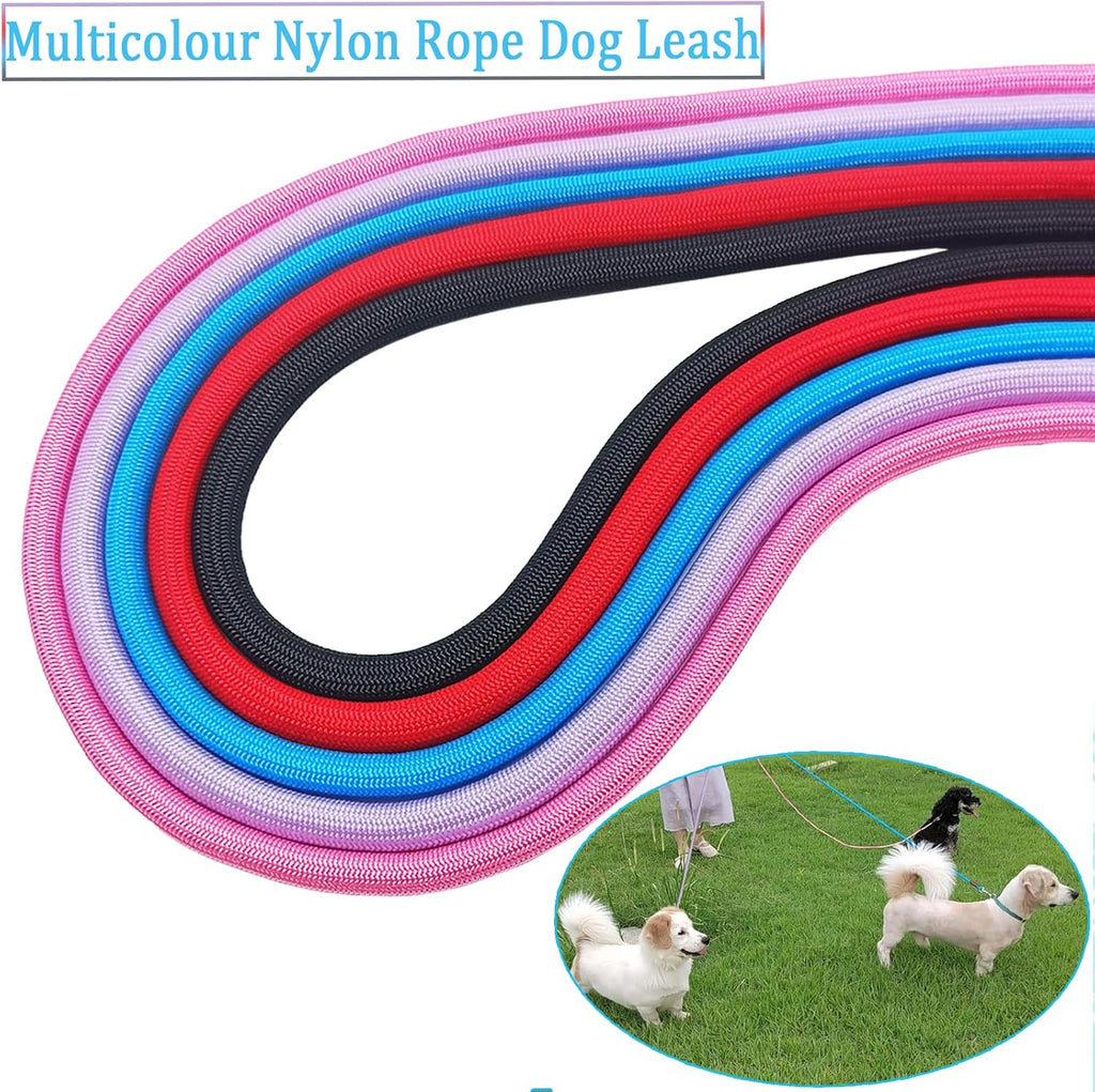 MayPaw durable pet leash folded in hand