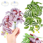 Safe and non-toxic terrarium decoration for amphibians