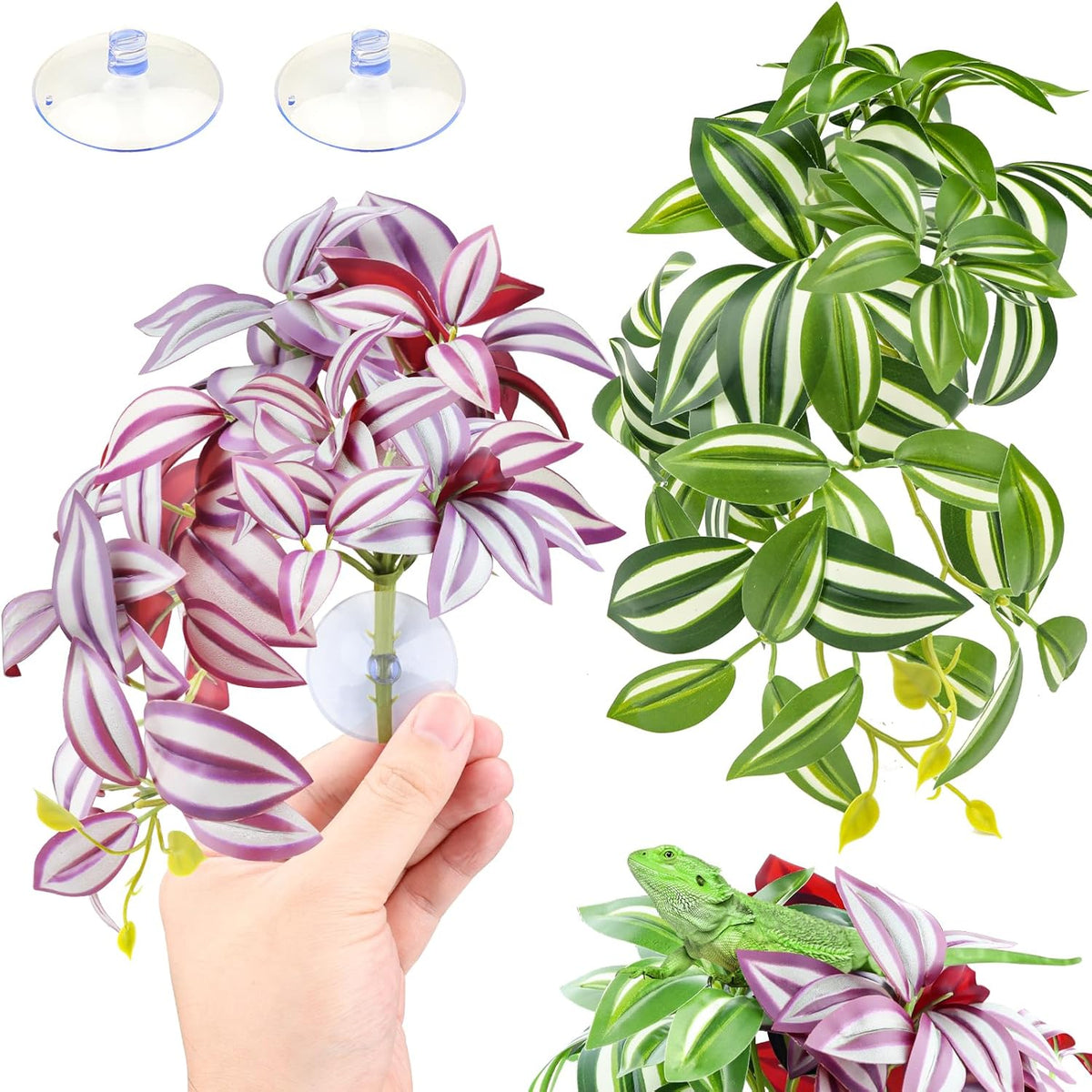 Safe and non-toxic terrarium decoration for amphibians