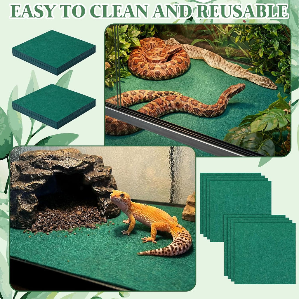 HunnmingRe green pet glass container lining laid out flat inside a turtle aquarium setup