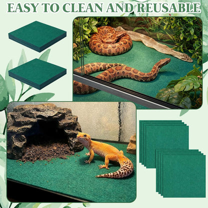 HunnmingRe green pet glass container lining laid out flat inside a turtle aquarium setup
