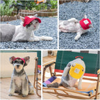 Rear view of dog baseball cap with ear holes
