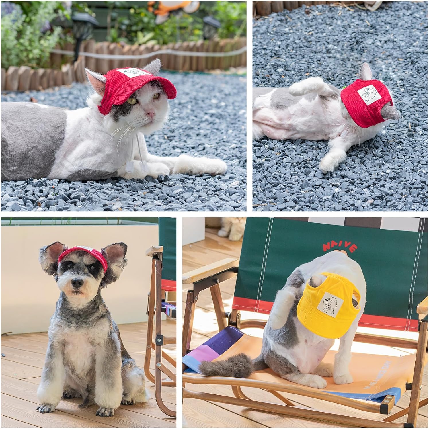 Rear view of dog baseball cap with ear holes