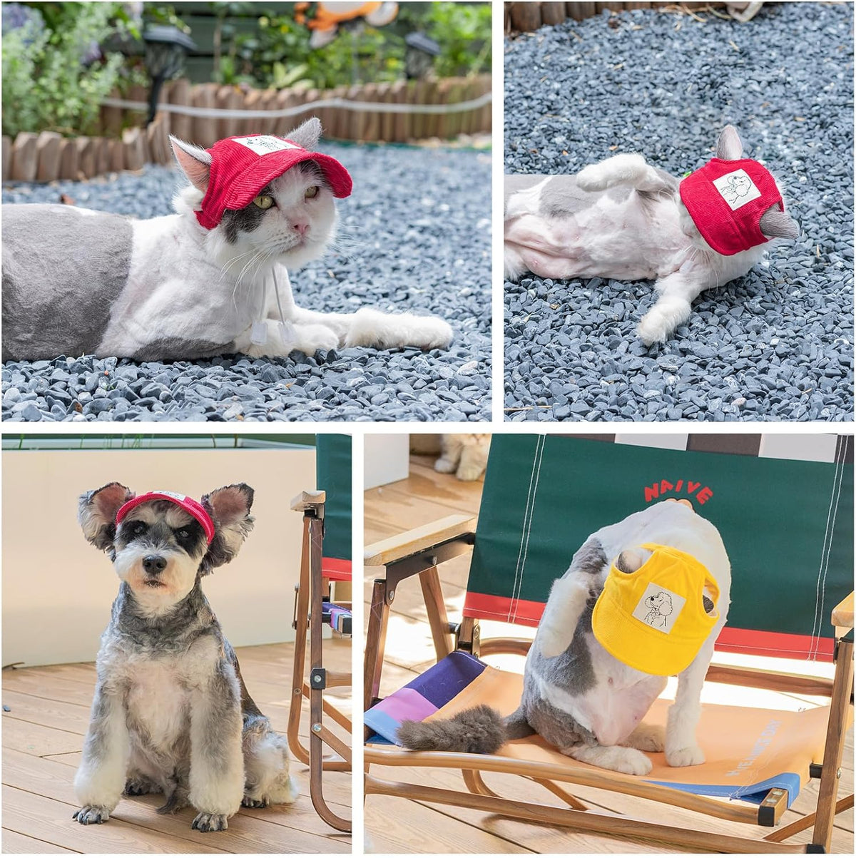 Rear view of dog baseball cap with ear holes