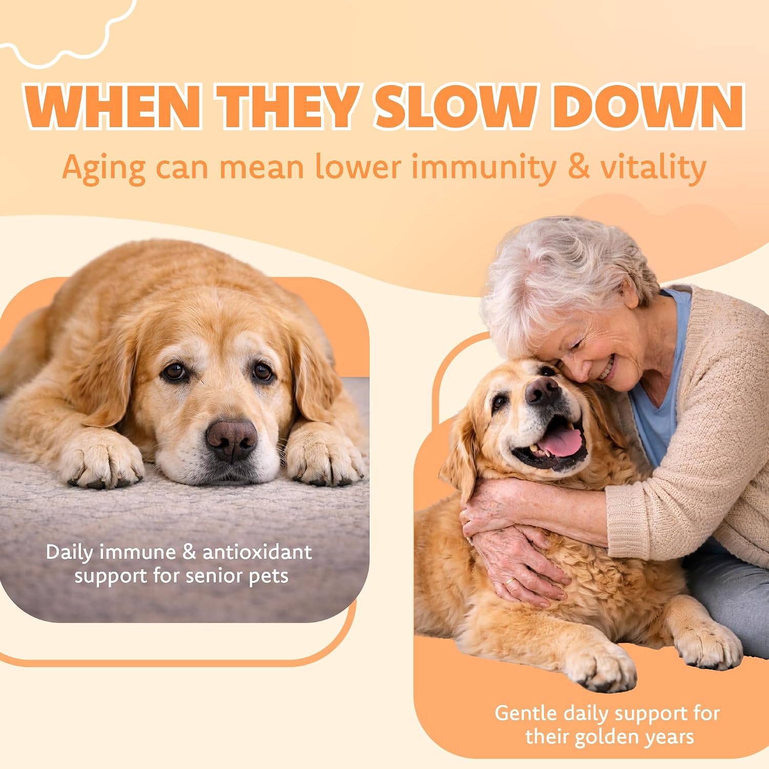 Lovita Pets immune support capsules ingredient list view