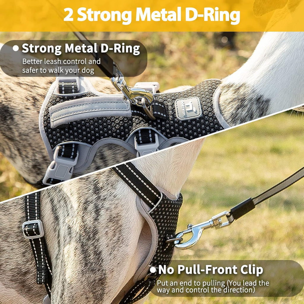 Adjustable five point dog training harness dual leash clips