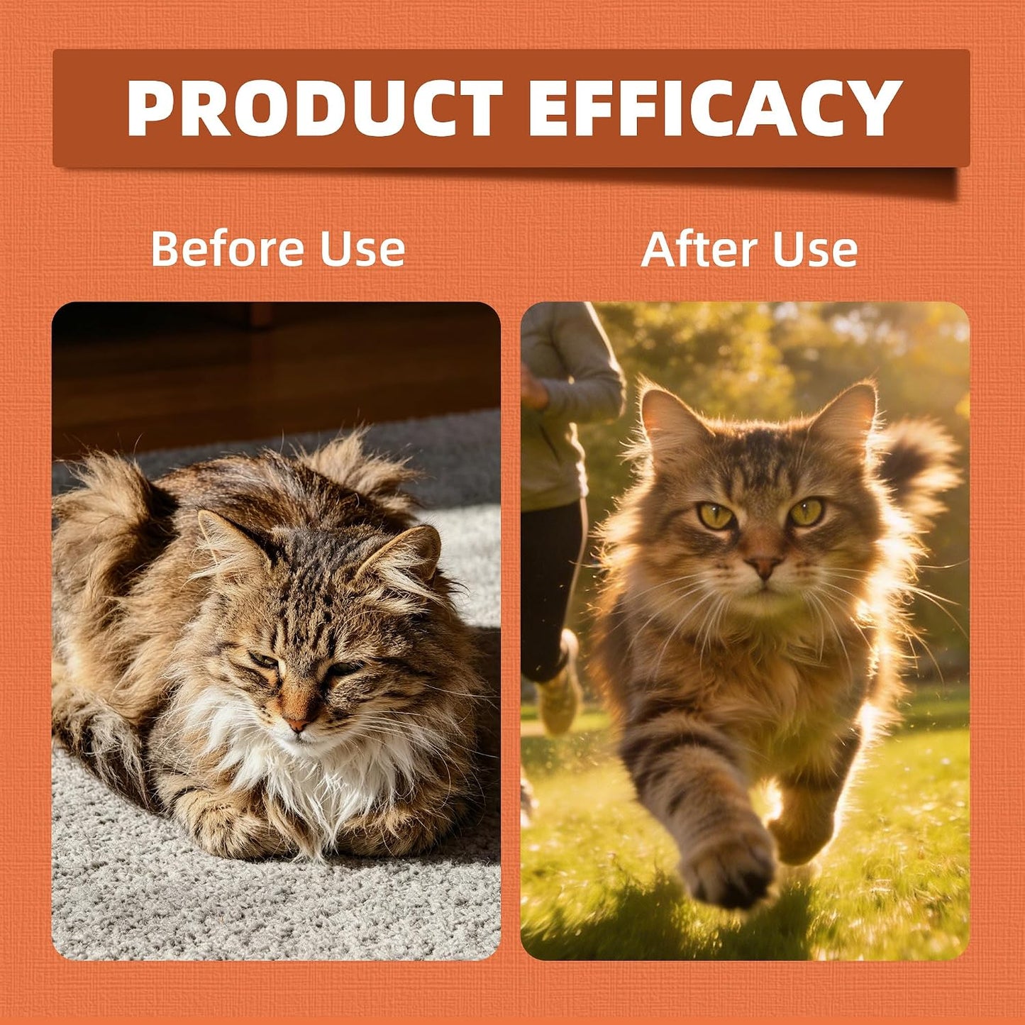 Feline cardiovascular care supplements with coenzyme Q10 and taurine