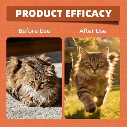 Feline cardiovascular care supplements with coenzyme Q10 and taurine