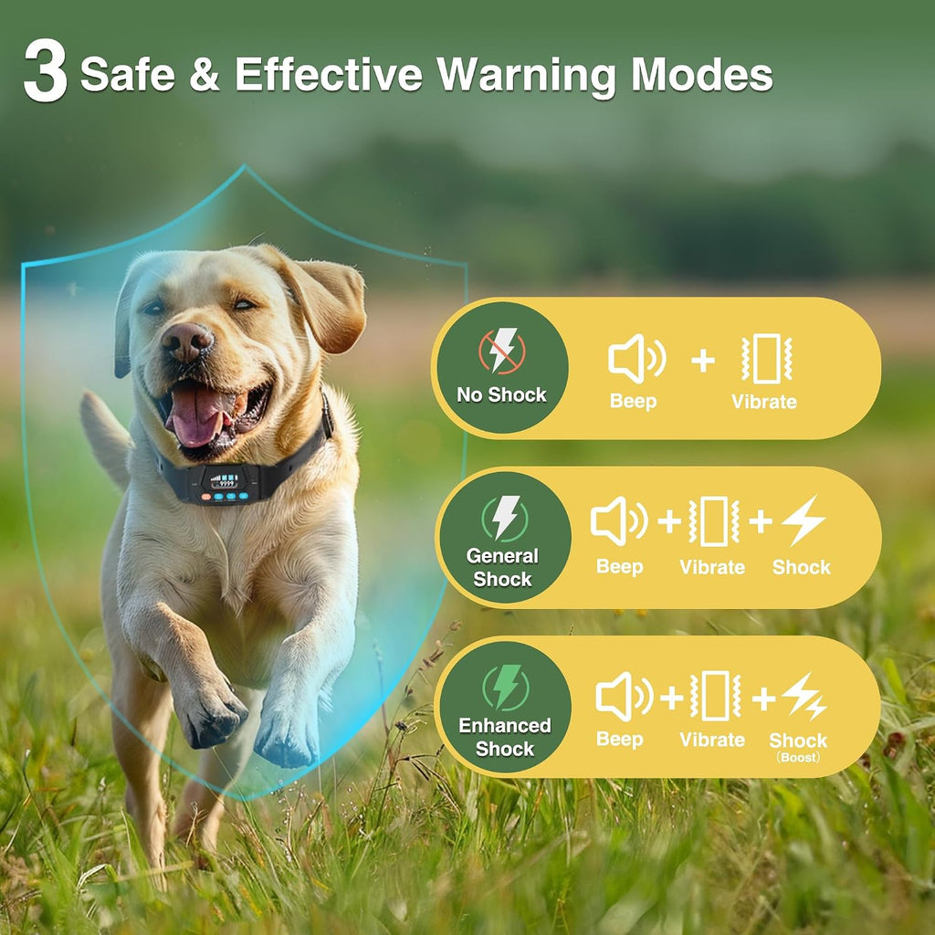 Dual dog collar pack for wireless positioning system with charging accessories.