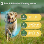 Dual dog collar pack for wireless positioning system with charging accessories.