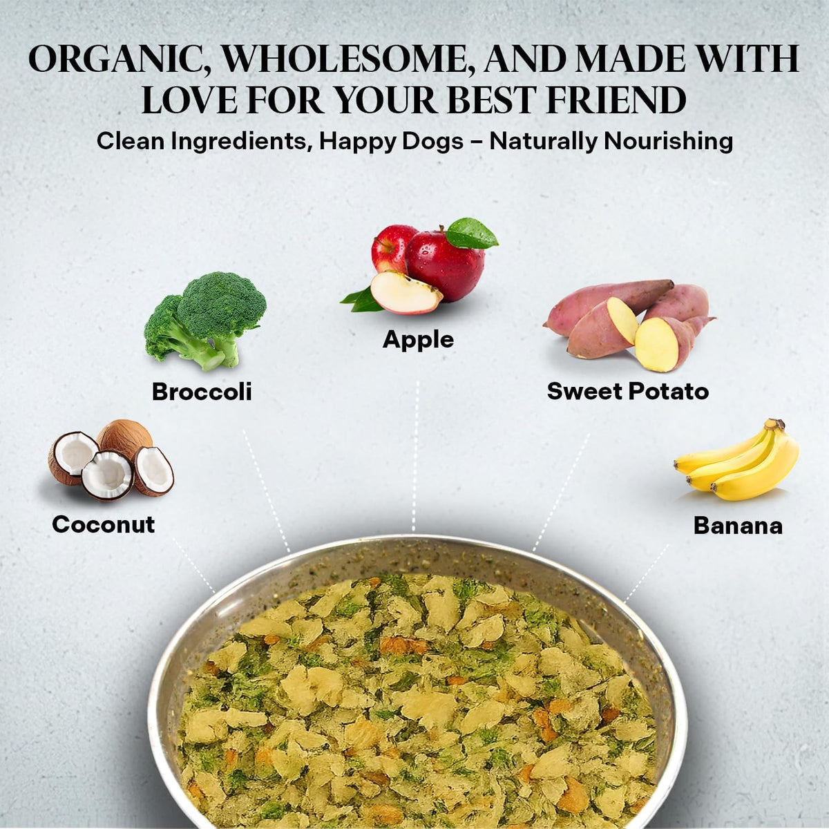 Close up of Healthy Dogma PetMix dehydrated ingredients
