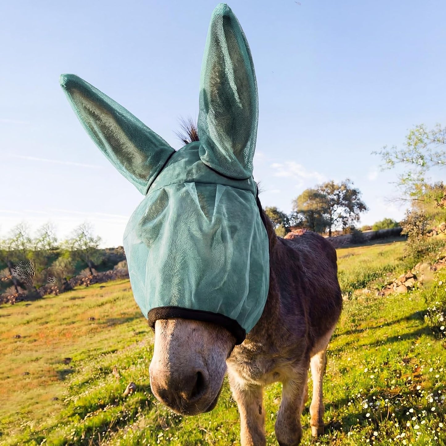 Mini Donkey Fly Mask with Ears Protection Breathable Mule Fly Mask with Long Ears Protection from Insects and Bugs Soft Mesh with Adjustable Fastener Easy to get on and Off(Rose Red) - Image 9