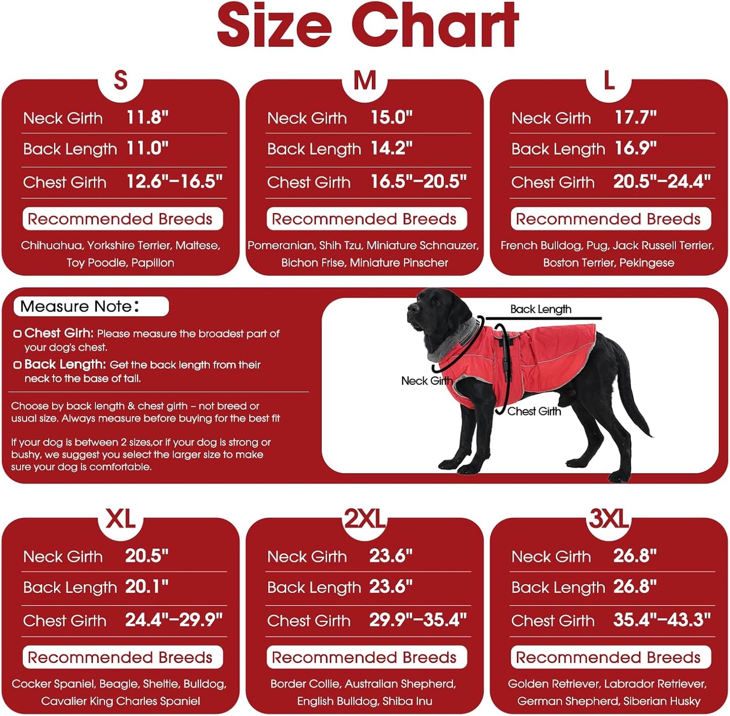 QBLEEV reflective dog jacket demonstrating low light visibility with luminous safety strips.