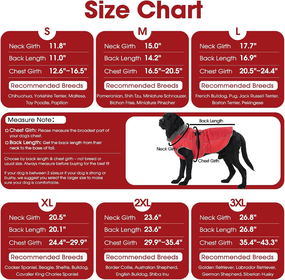 QBLEEV reflective dog jacket demonstrating low light visibility with luminous safety strips.
